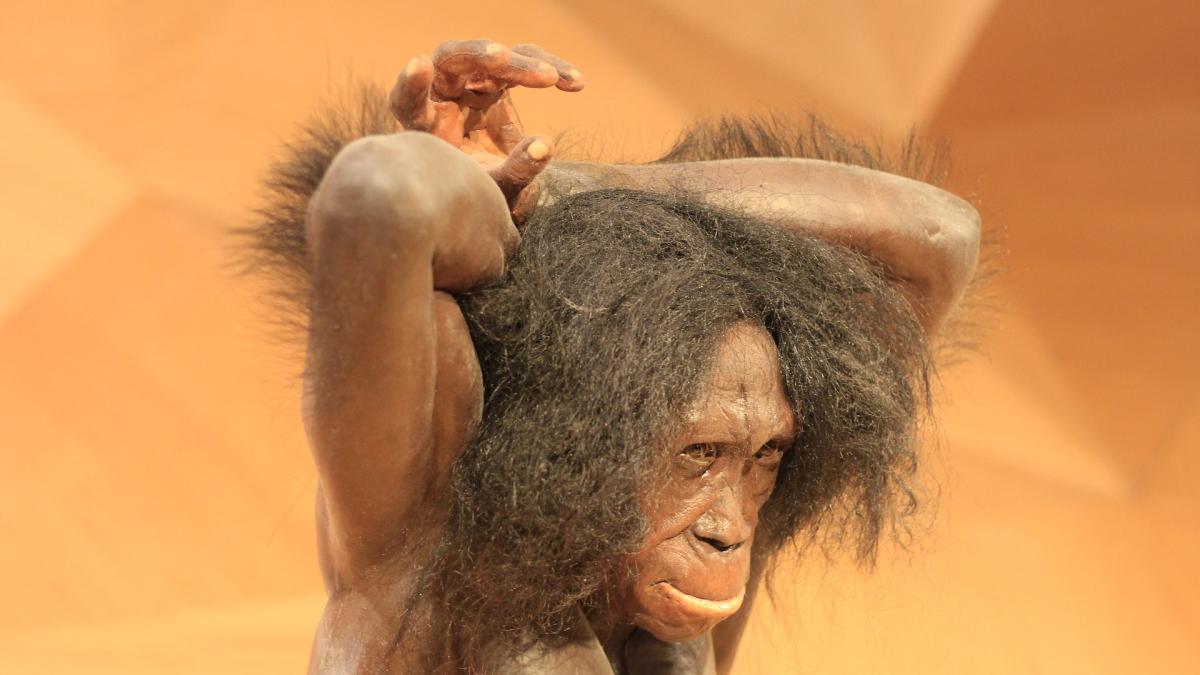noi-descoperiri-despre-neanderthalieni-cand-au-disparut_83794400