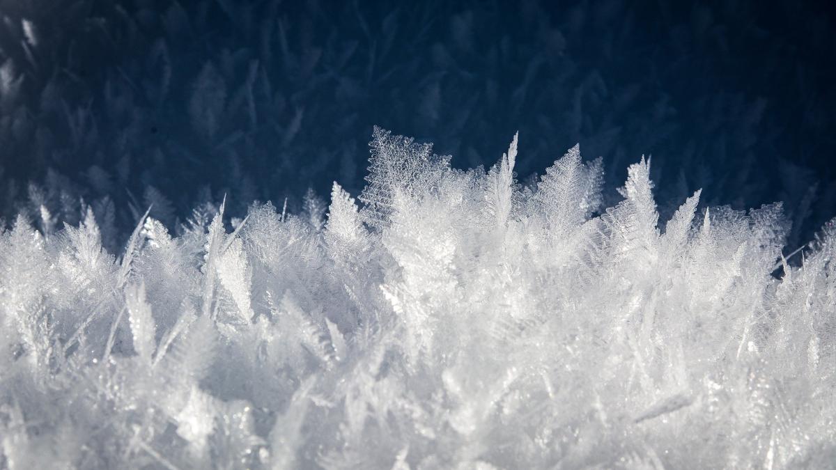 anm--prognozaprc-ccprc-86-specialaprc-ccprc-86-pentru-bucuresprc-ccprc-a6ti--dupaprc-ccprc-86-ninsori-vine-gerul_10750800