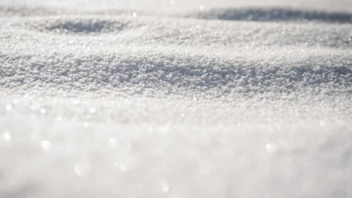 cod_galben_zapada_bucuresti_foto_pexels_63435600