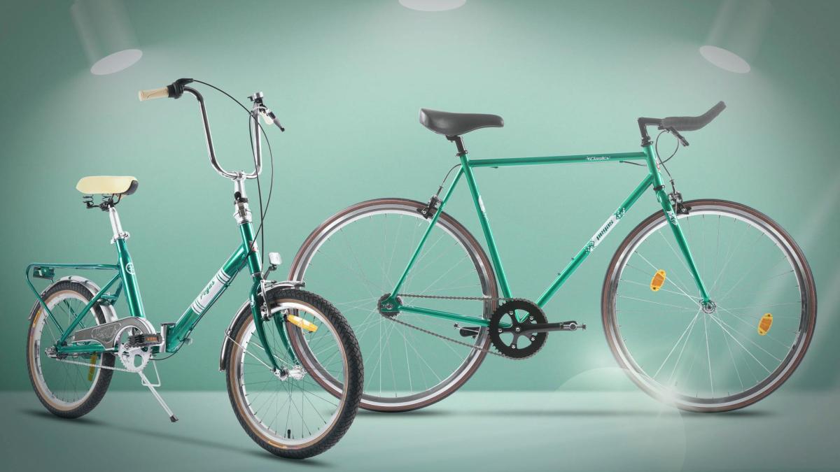 biciclete_pegas_romania_germania_instanta_marca_fb_15988500