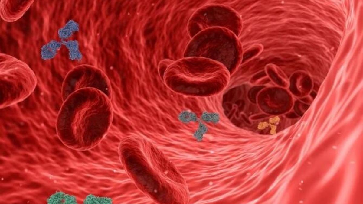 superanticorpi-covid-19_41845100