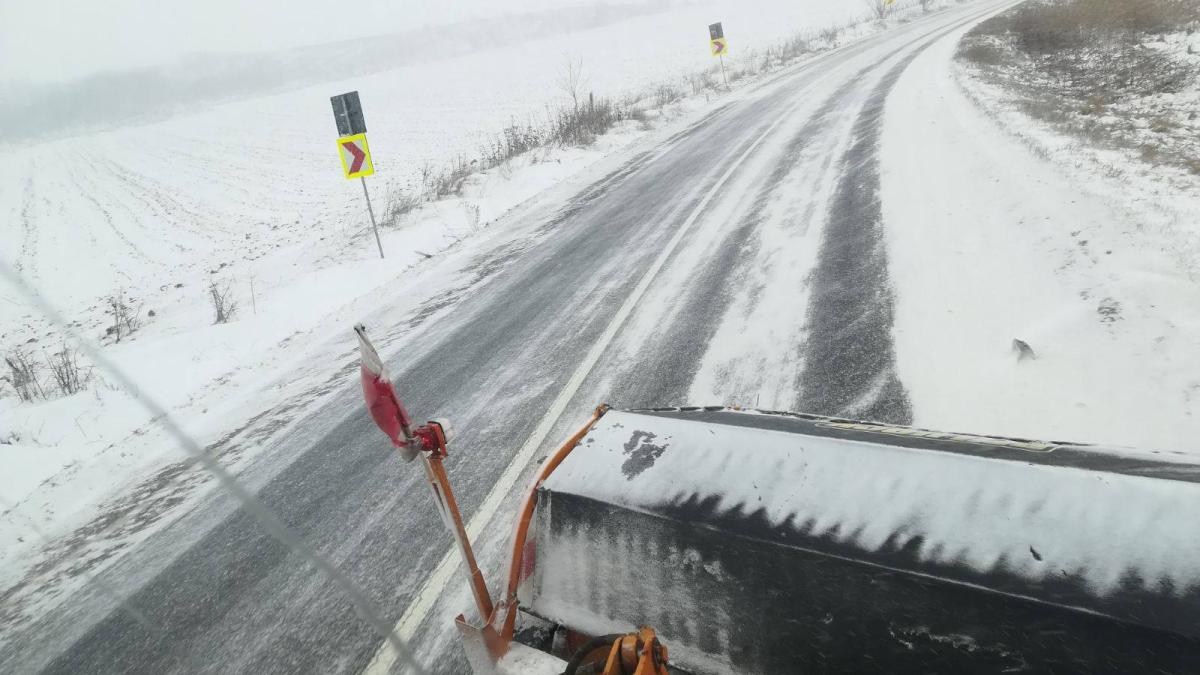 cod-galben-de-ninsori--cnair--apel-caprc-ccprc-86tre-conducaprc-ccprc-86torii-auto_19903100