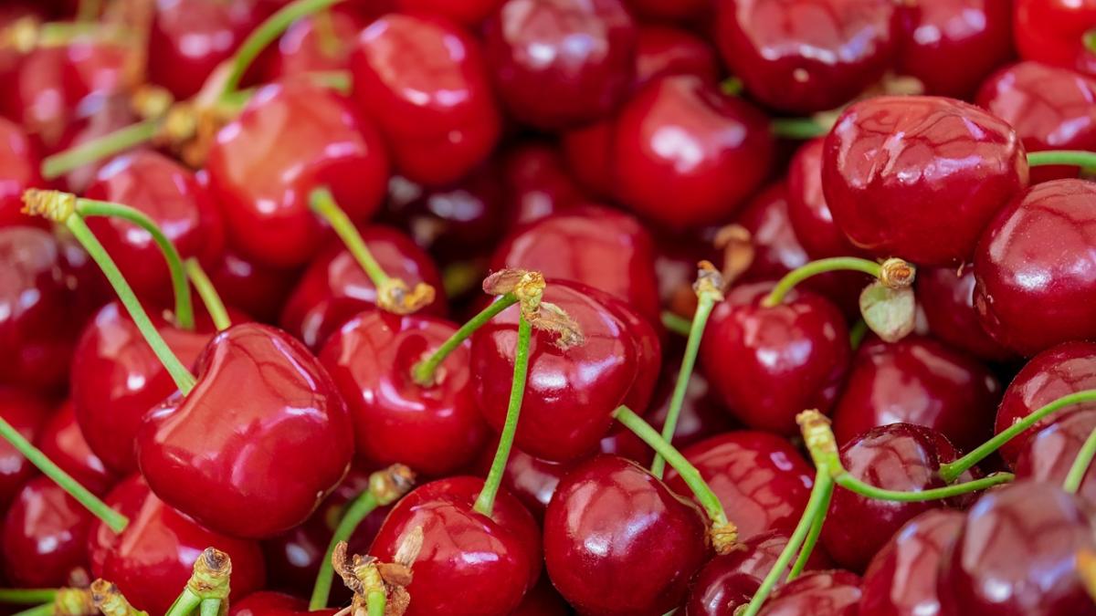 pret_cirese_2021_16309800