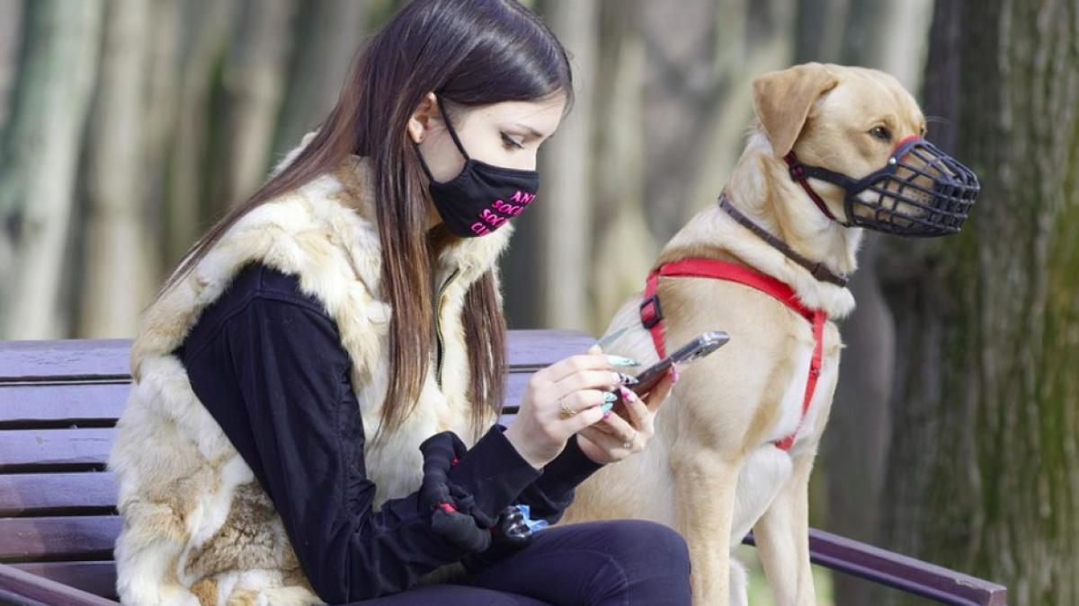 masca_protectie_ilustrativ_pxb_50163400