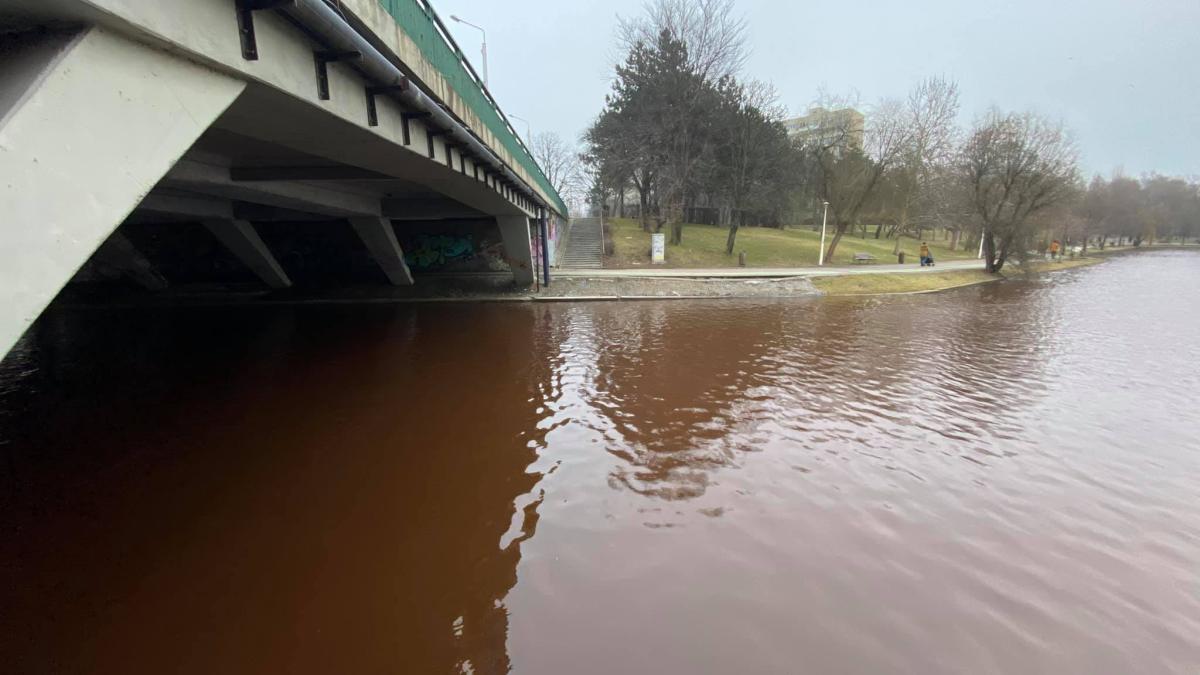 iustin_ichim_apa_rosie_ior_fb_71308900