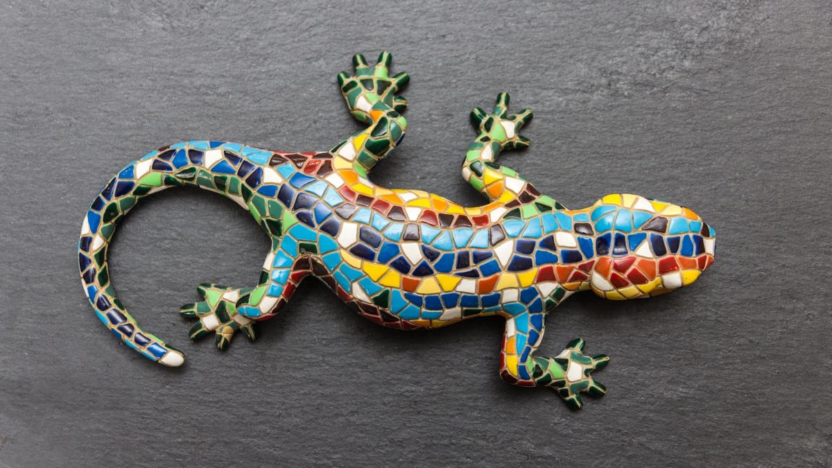 cafenelele-cu-animale-exotice--tot-mai-caprc-ccprc-86utate--oamenii-pot-interactprc-ccprc-a6iona-cu-vietprc-ccprc-a6uitoarele_53170400