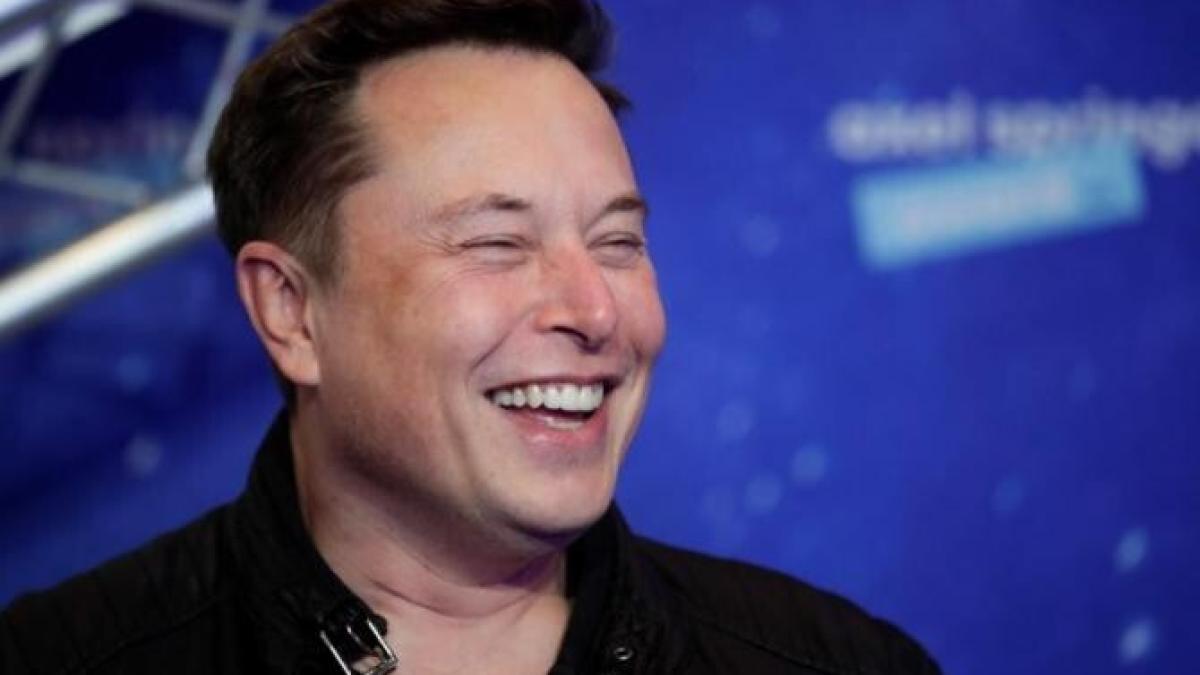 elon-musk-dat-in-judecata_31069100