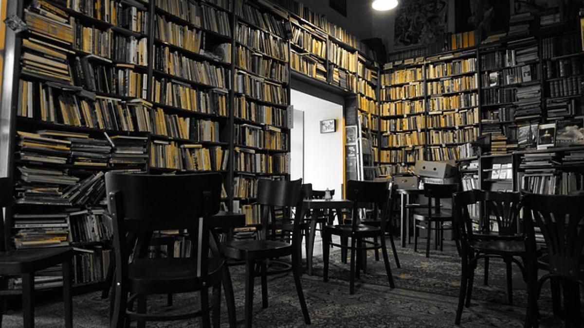 fuga-unui-mare-scriitor-dan-ciachir-partea-a-doua_49401600