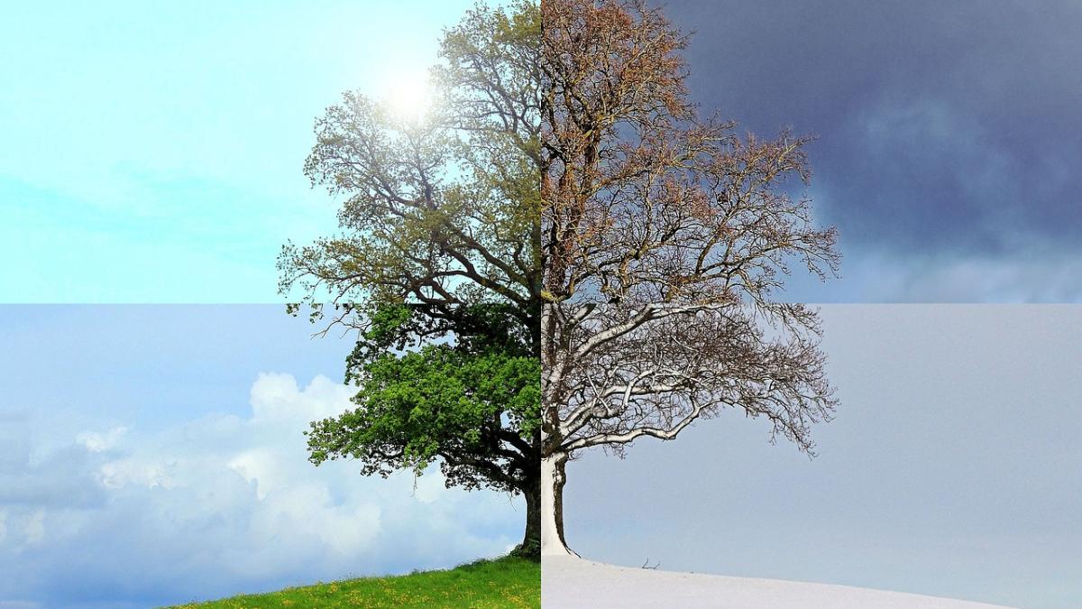 vara-si-iarna-incalzire-globala_59544900