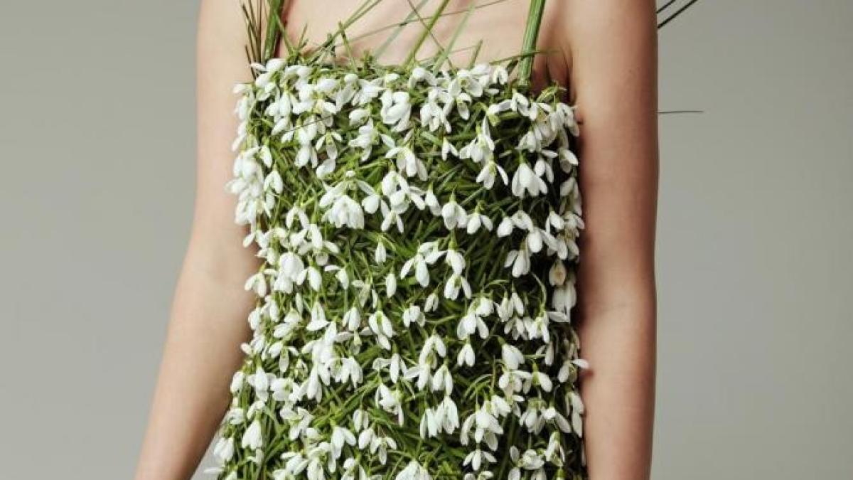 ioana-blaj-ghiocei-2_29651600