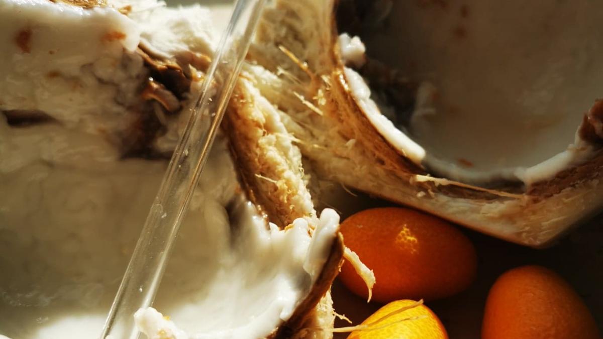 nuca-de-cocos-beneficii_14149200