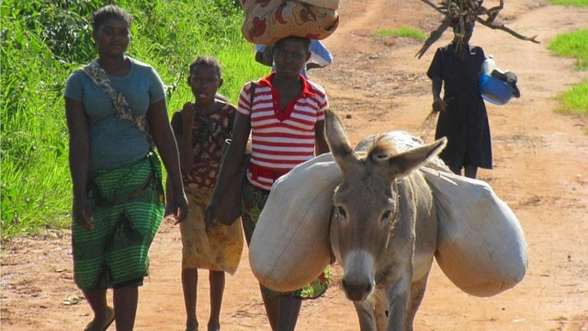 mozambique-copii-ucisi_42956300