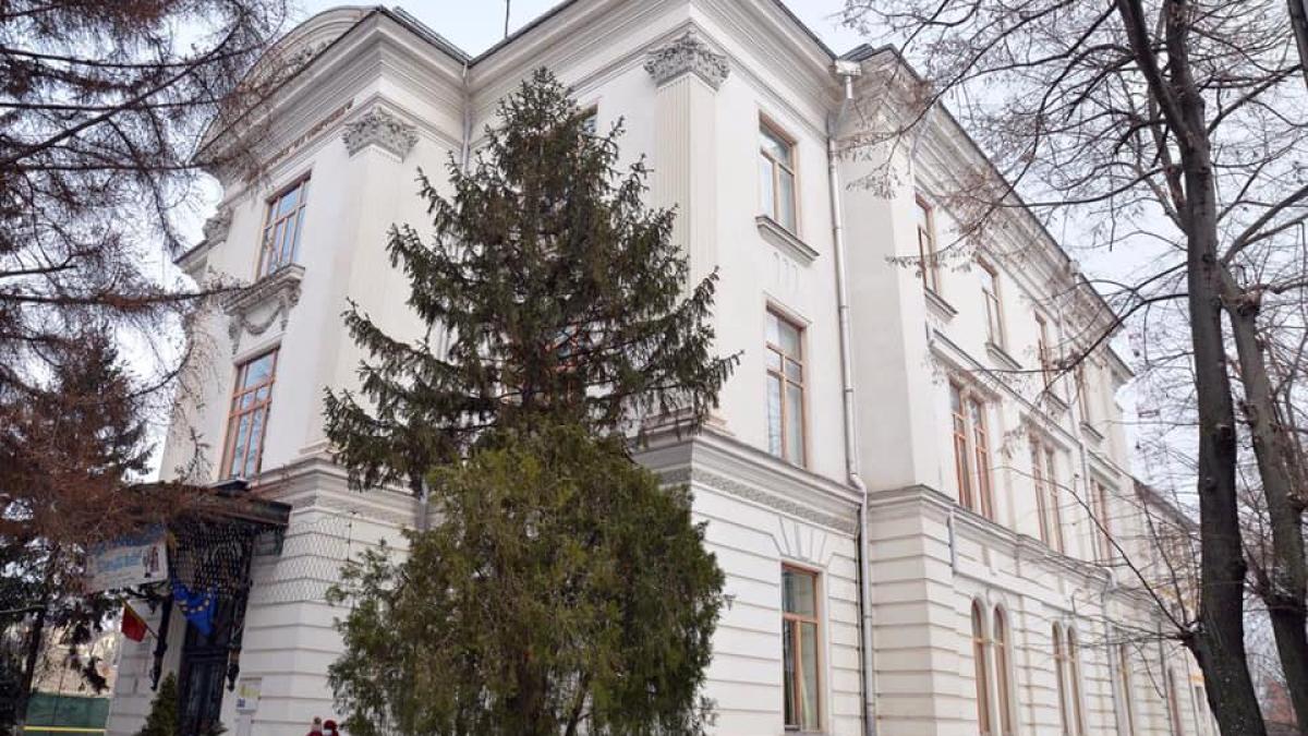 galati--biblioteca_11145800