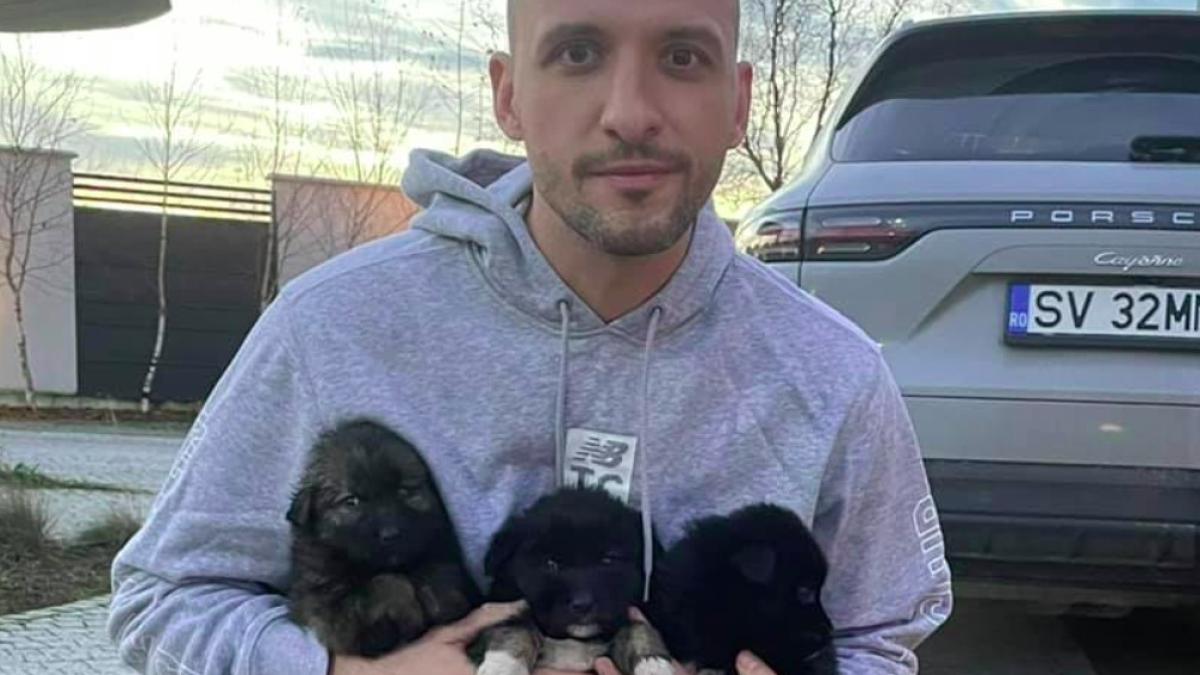 stefan_mandachi_spartan_facebook_09347000