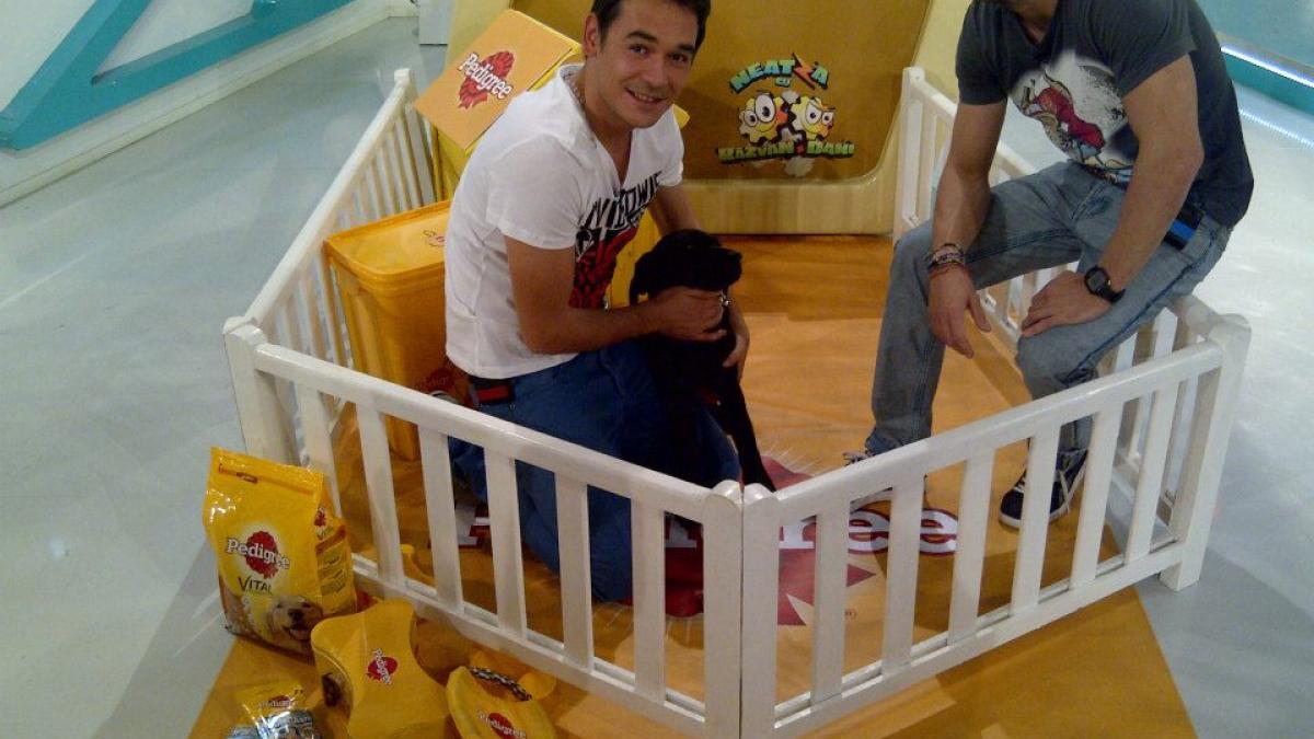 dani_otil_razvan_poza_tare_fb_06914700