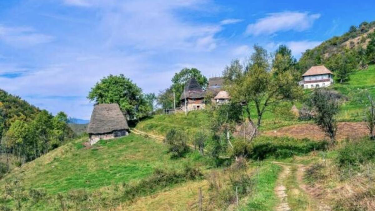 drum-valea-poienii_20654100