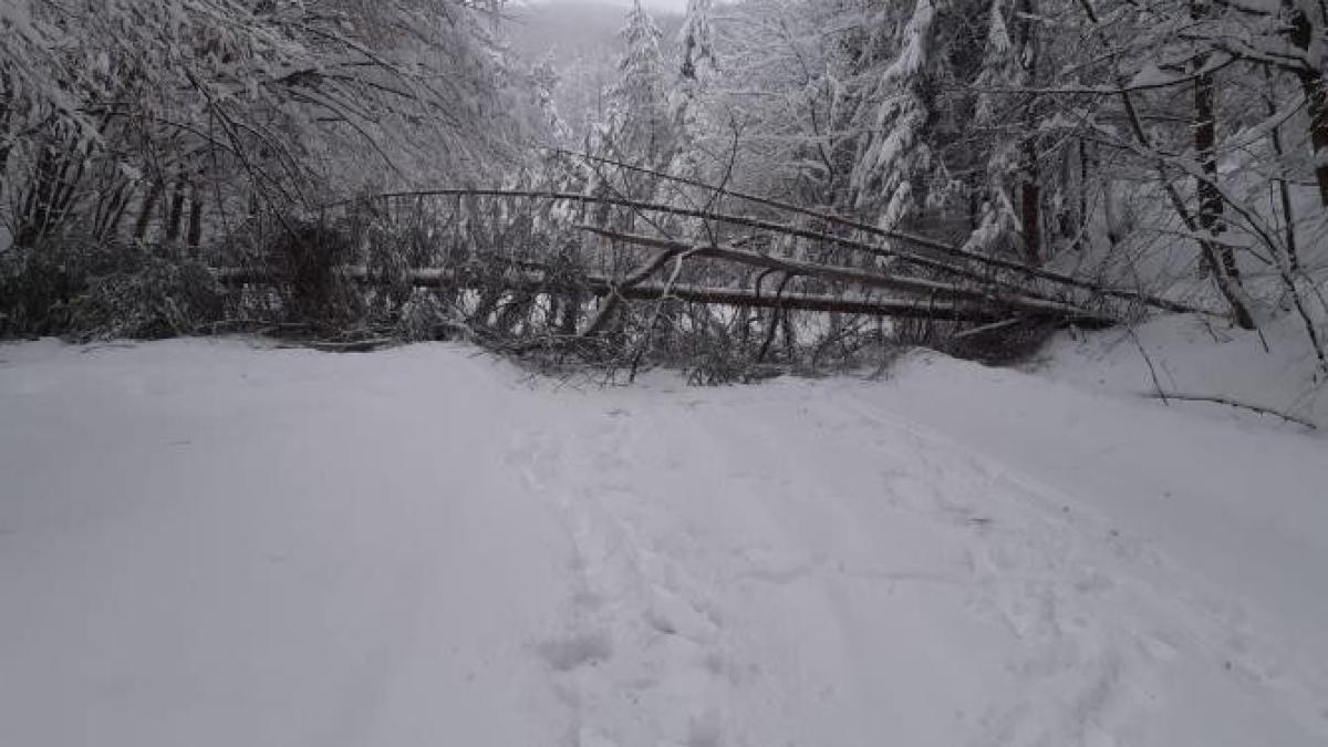 cad50007-8e79-4add-9f1a-d83cc656cc3d_64104300