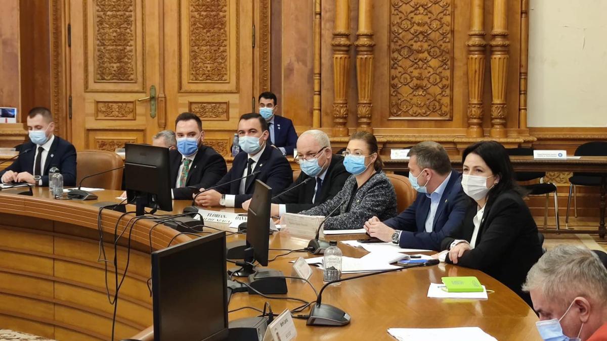 desfiintare_siij_oana_florea_intrebarefb_23067600