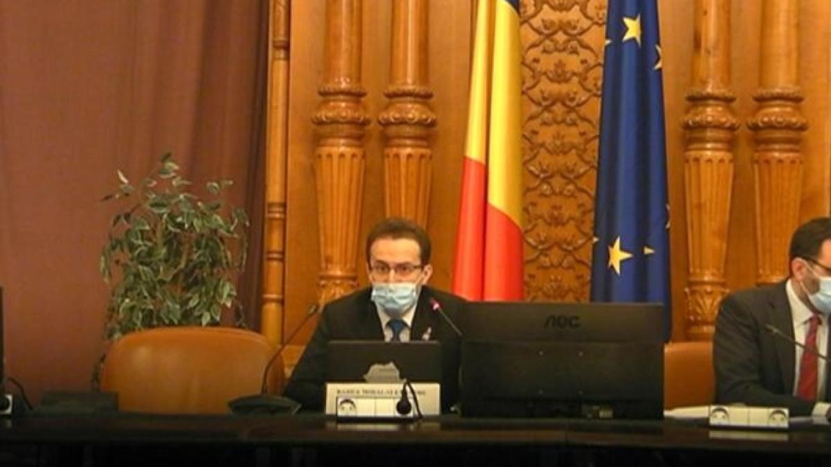 cearta_sedinta_comisia_juridica_desfiintare_siij_badea_halici_cpv_95259700