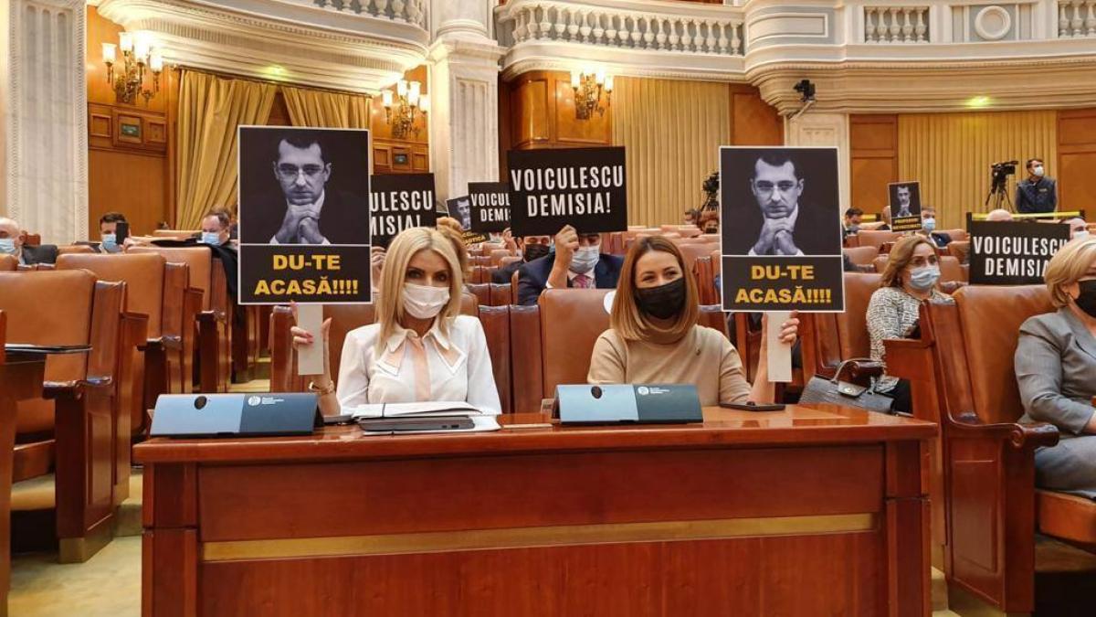 laura_vicol_avocat_stelian_ion_replici_fb_85808500