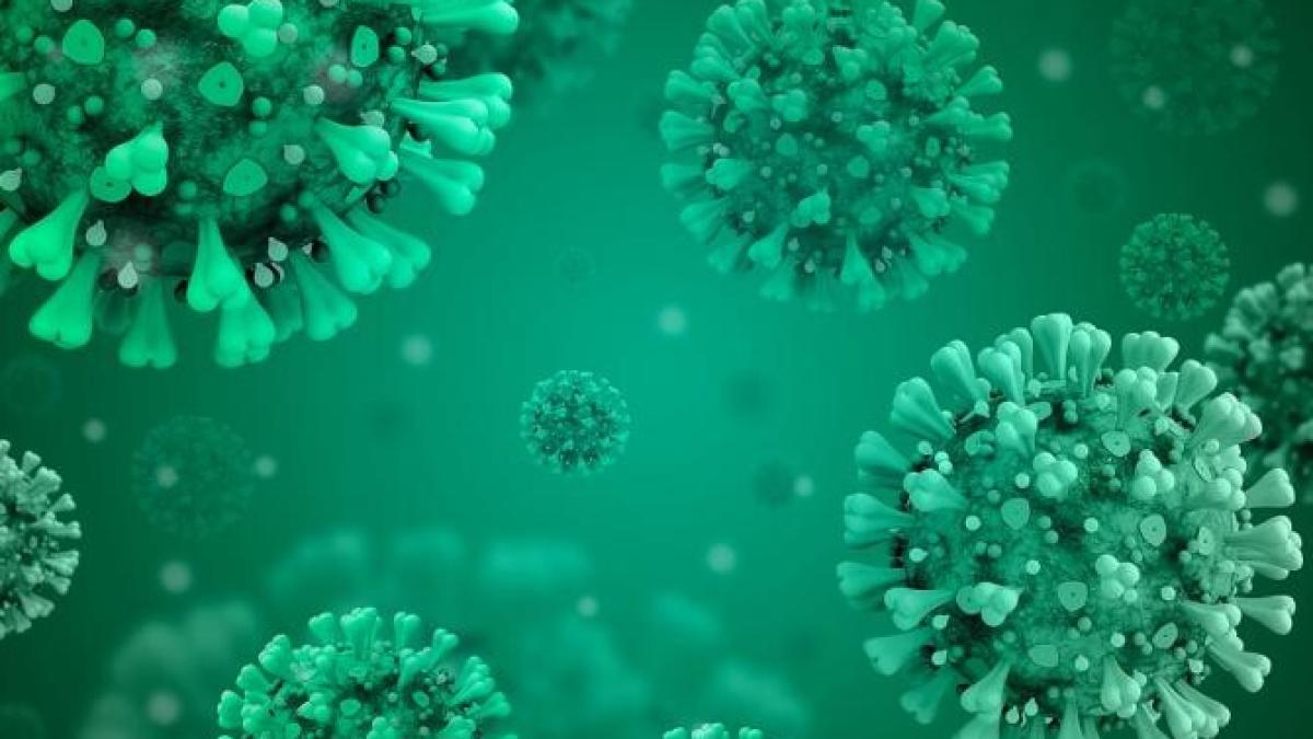 oms--iprc-ccprc-82ngrijoraprc-ccprc-86ri-cu-privire-la-situatprc-ccprc-a7ia-epidemiologicaprc-ccprc-86-din-balcani-sprc-ccprc-a7i-europa-centralaprc-ccprc-86_17886300