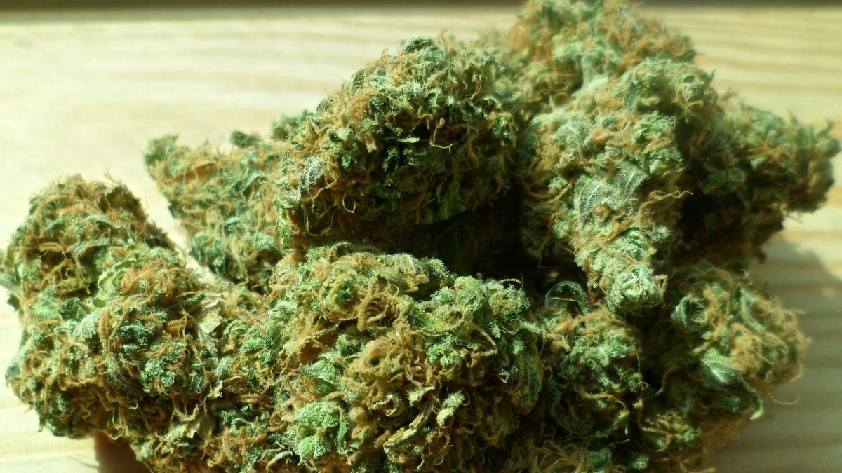 politistii-de-la-crima-organizata-au-ridicat-4-kilograme-de-cannabis_65444900