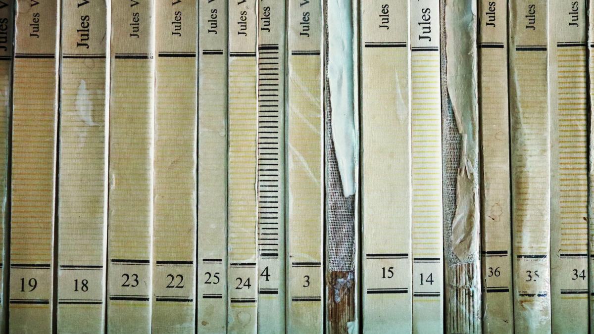 aventurile-lui-jules-verne-in-romania-ar-fi-avut-o-iubita-din-centrul-tarii_87687800