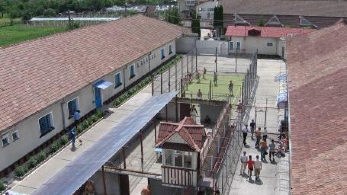 puscaria-bistrita_42780000