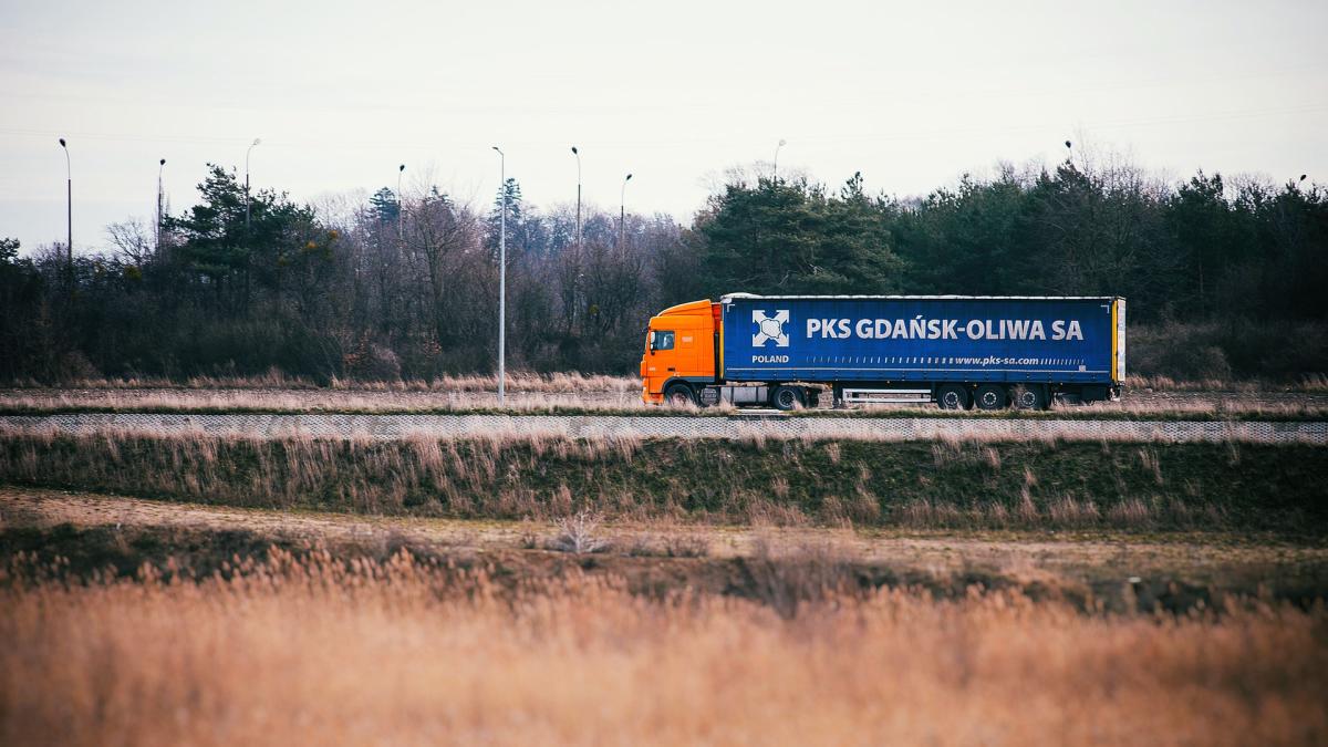 sirieni-ascunsi-intr-un-tir-cu-susan--la-vama-giurgiu--ce-le-au-declarat-autoritatilor_17852000