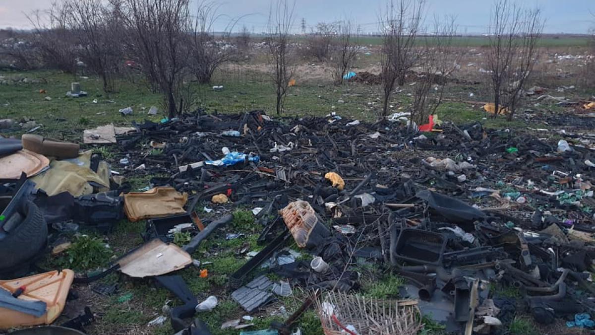 plastice-poluare_49890000