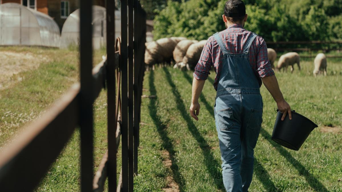 100-de-milioane-de-euro-pentru-tinerii-fermierii--criteriile-de-selectie_58063400