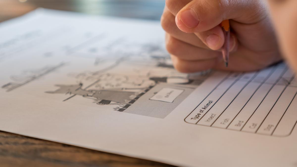 simulare_examen_bacalaureat_2021_pexels_38183600