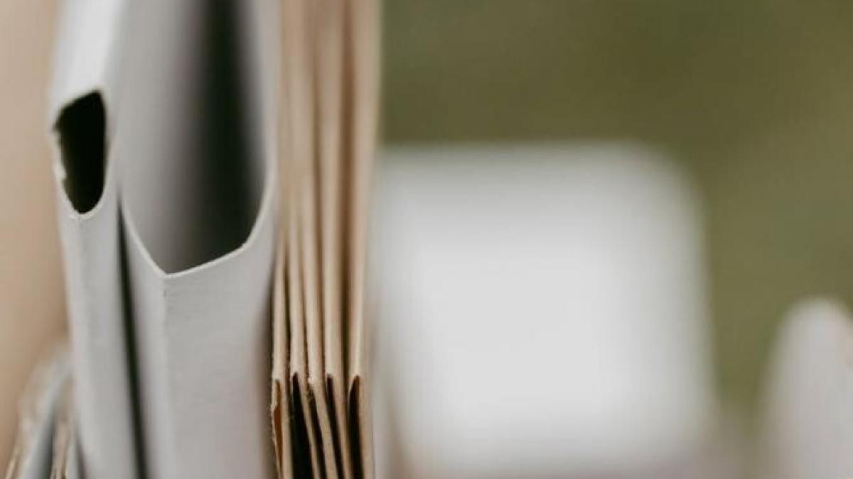 sri-arhiva-predata-cnas_85118600