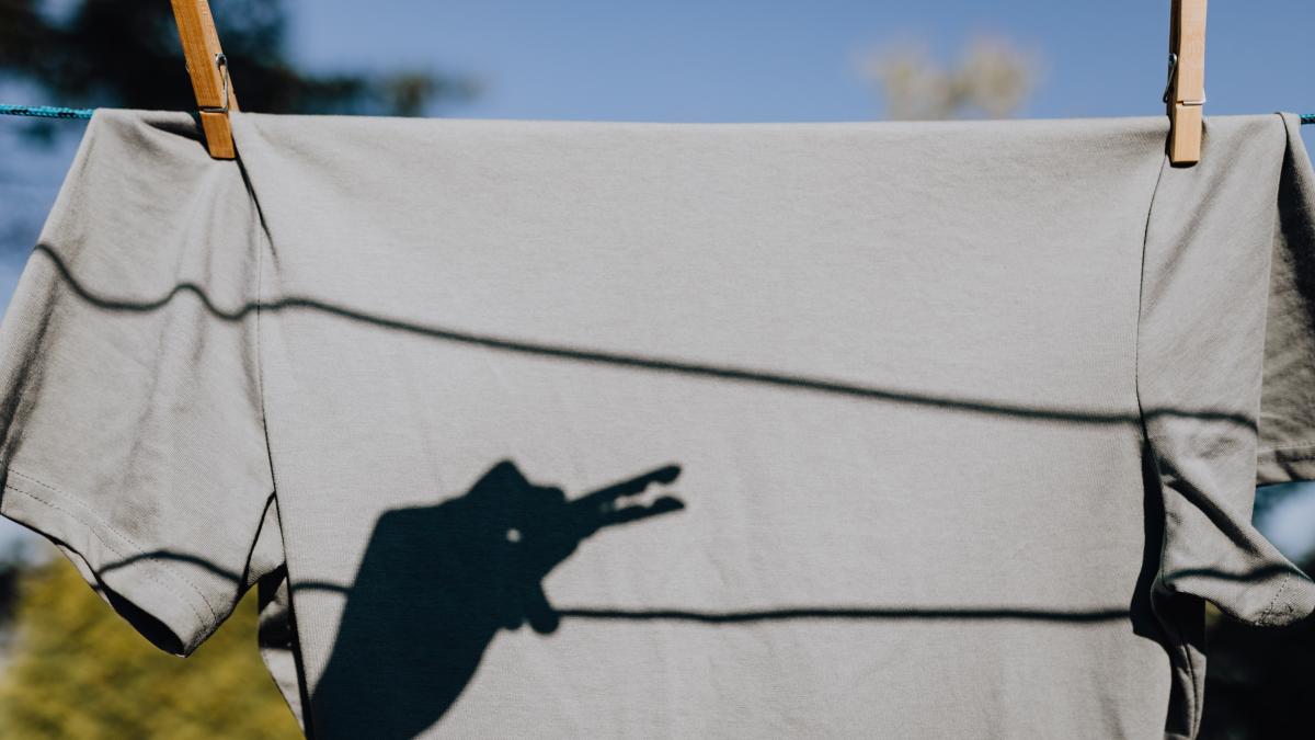 haine-uscator_93540400