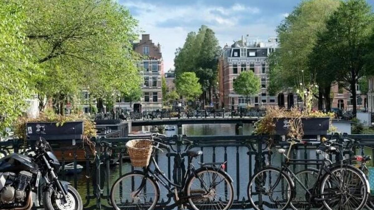 olanda-restrictii-20-aprilie_98741700