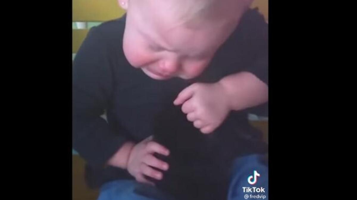 imaginile-care-iti-vor-aduce-lacrimi-de-emotie--iubirea-in-forma-pura-video_35352700