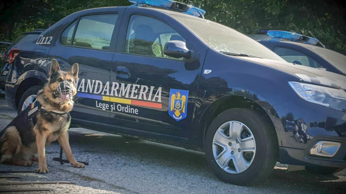 jandarm-arestat-dupa-ce-si-a-batut-concubina_14625200