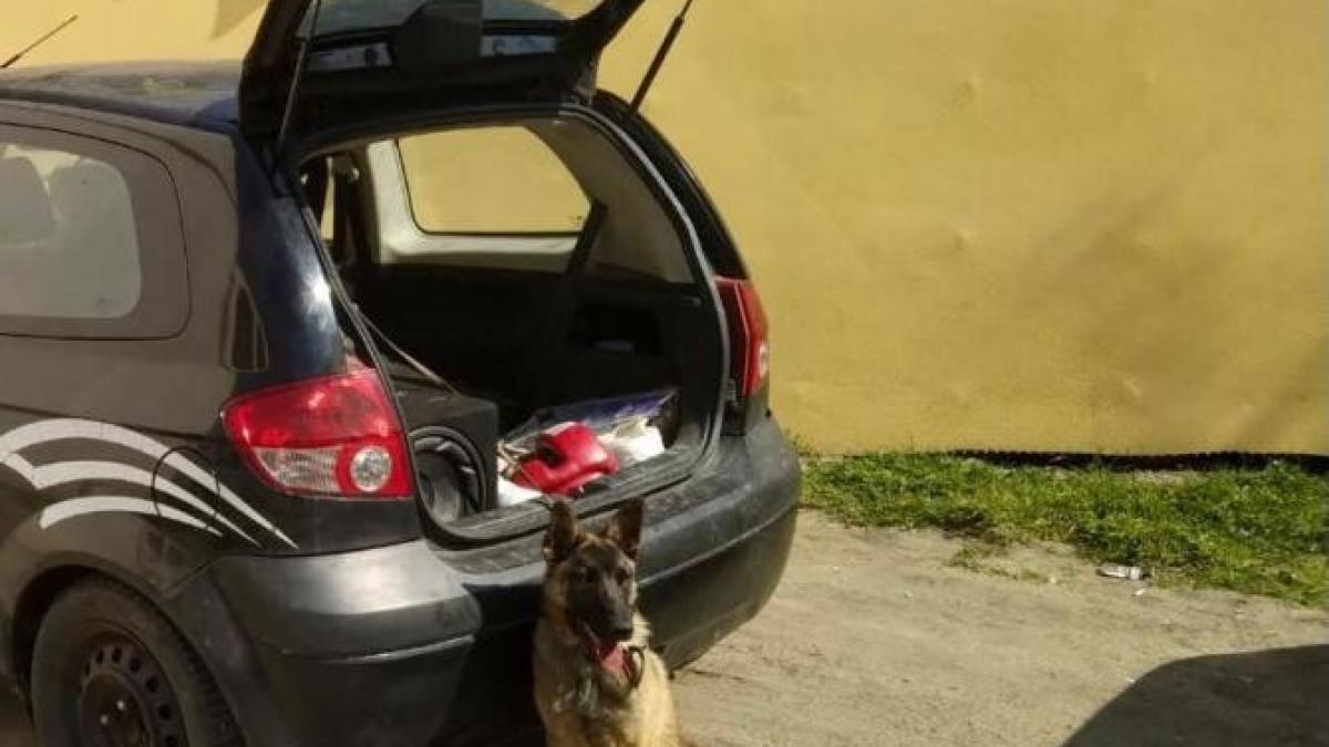 caprc-ccprc-82ine-legat-sprc-ccprc-a6i-abandonat-iprc-ccprc-82ntr-un-autoturism--faprc-ccprc-86raprc-ccprc-86-apaprc-ccprc-86-sau-maprc-ccprc-82ncare_71905500