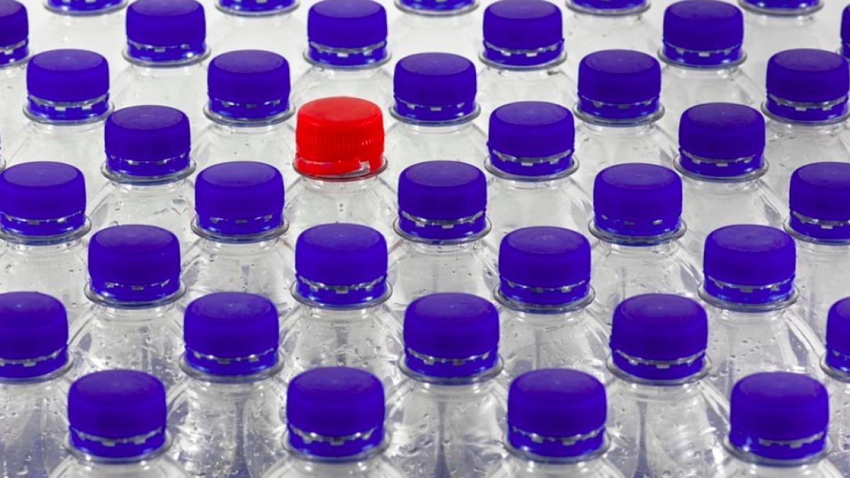 urina_amazon_international_pet_plastic_bidon_30278100