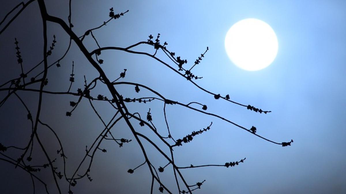 lumina-luna-plina_60678000