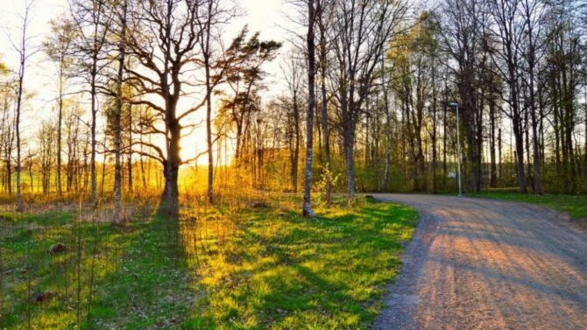 elena_mateescu_anm_vreme_martie_aprilie_foto_pexels_60403300