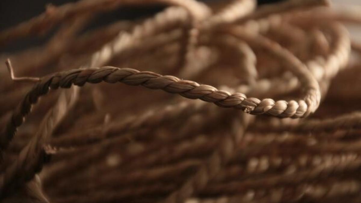 sinucidere-ati-arad_14099600