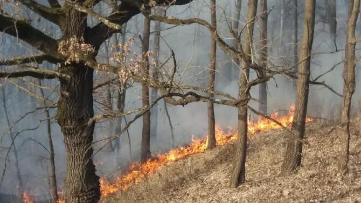 incendii-de-vegetatprc-ccprc-a6ie-iprc-ccprc-82n-hunedoara--circulatprc-ccprc-a7ia-pe-autostrada-a1--iprc-ccprc-82ngreunataprc-ccprc-86_92846000