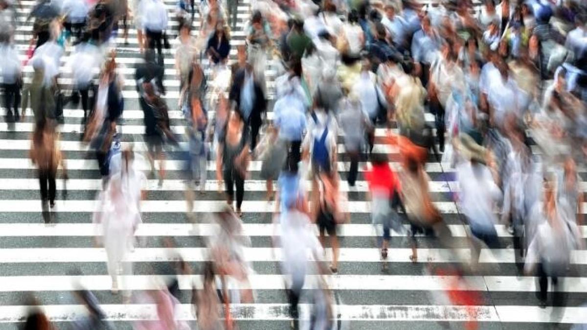 recensaprc-ccprc-86maprc-ccprc-82nt-online-iprc-ccprc-82n-2022--urmeazaprc-ccprc-86-o-probaprc-ccprc-86-pe-50-000-de-gospodaprc-ccprc-86rii-din-tprc-ccprc-a6araprc-ccprc-86_90164400