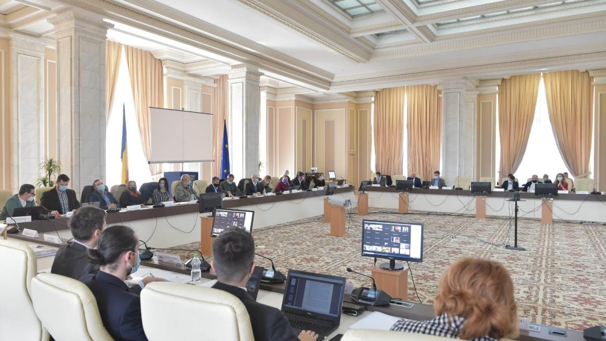 parlament_audiere_comisie_ambasadori_romania_fb_26933200
