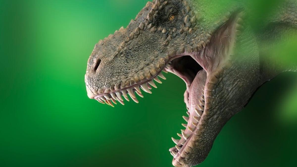 dinozaur_ilustrativ_pxb_00419600