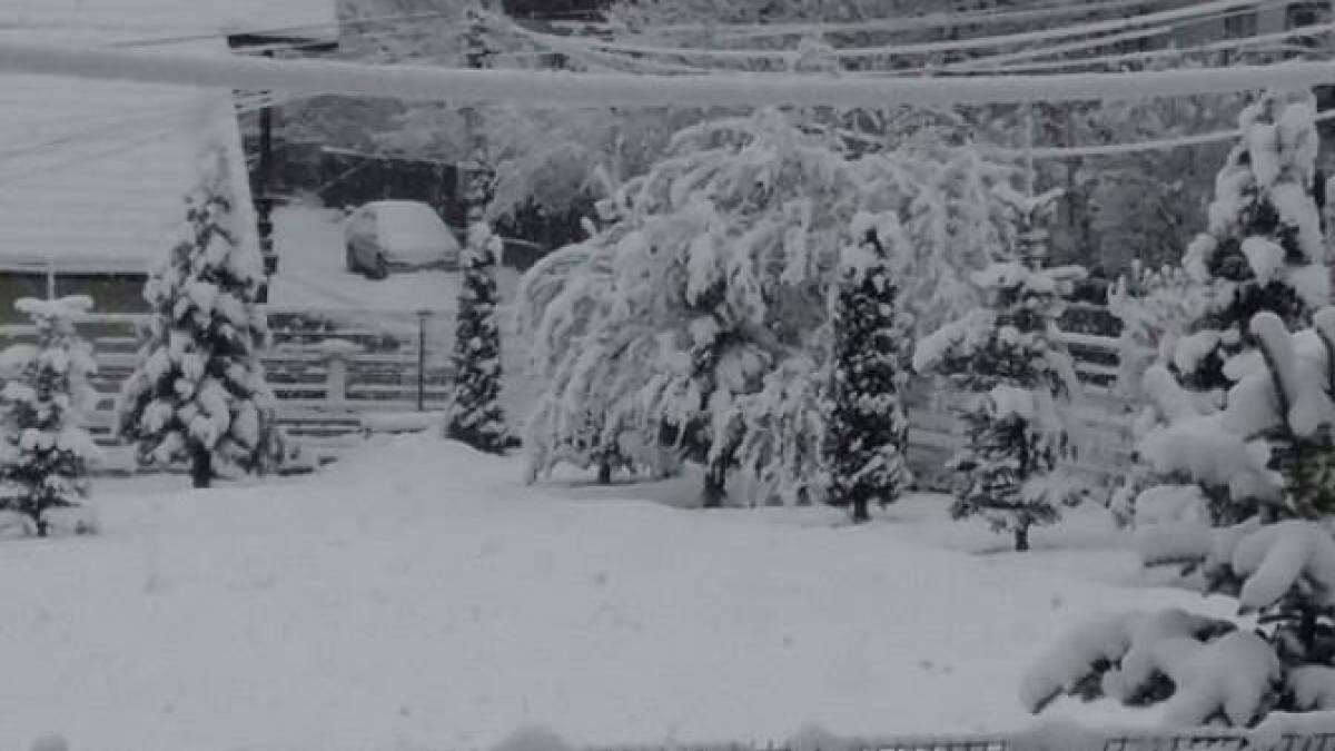 ninsoare_aprilie_2017_arhiva_dcnews_1_09880600