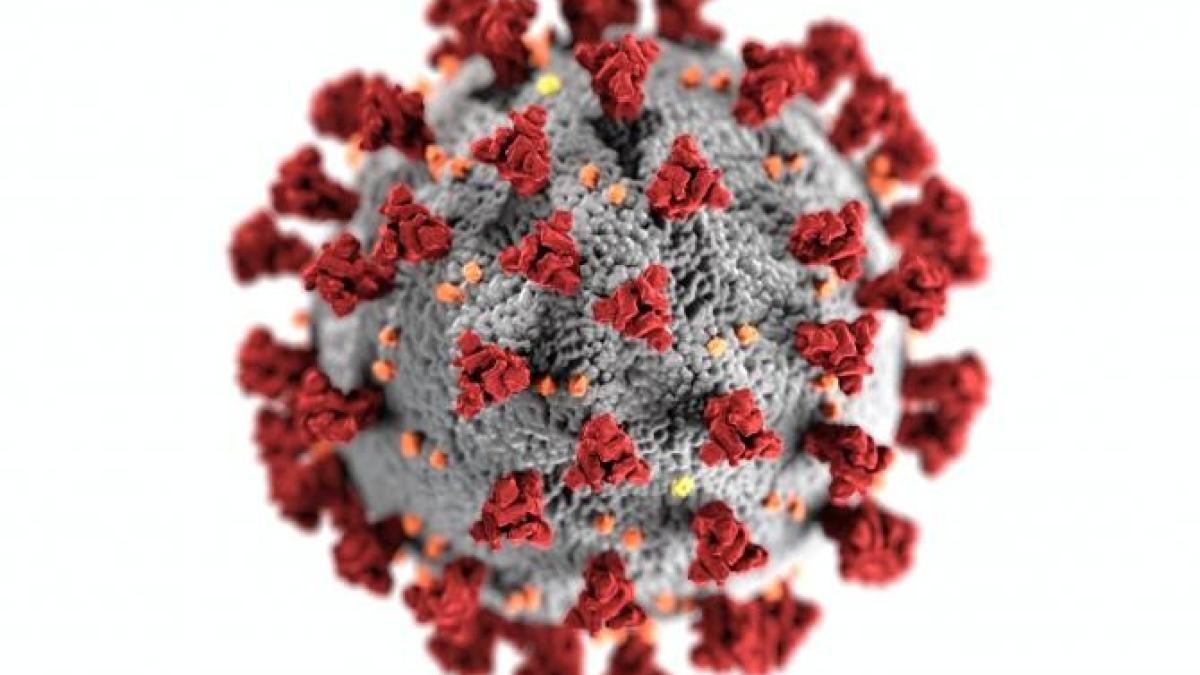 studiu-origine-covid-oms-china_06109400