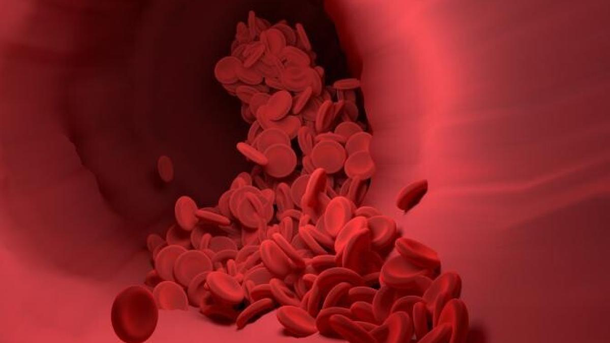 studiu-sperantprc-ccprc-a6aprc-ccprc-86-din-sua---celulele-t--protectprc-ccprc-a6ia-iprc-ccprc-82n-fatprc-ccprc-a6a-sars-cov-2_91107100