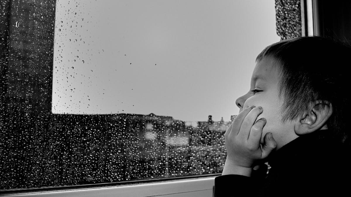 copii-flamanzi-luati-de-jandarmi_78097800